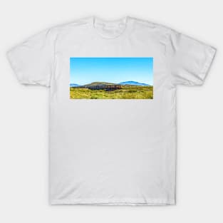 Union Pacific freight in New Mexico T-Shirt